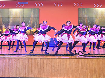 vid