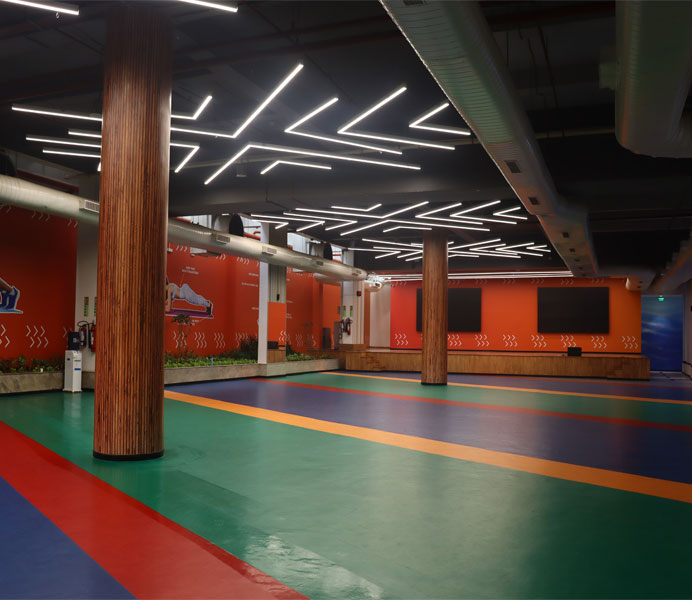 MULTISTUDIO