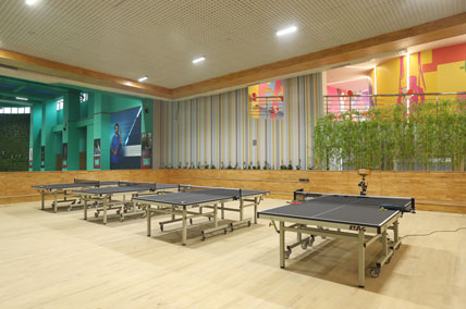 TABLETENNIS_MOB