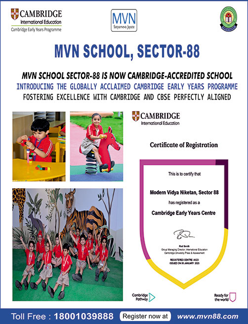 MVN